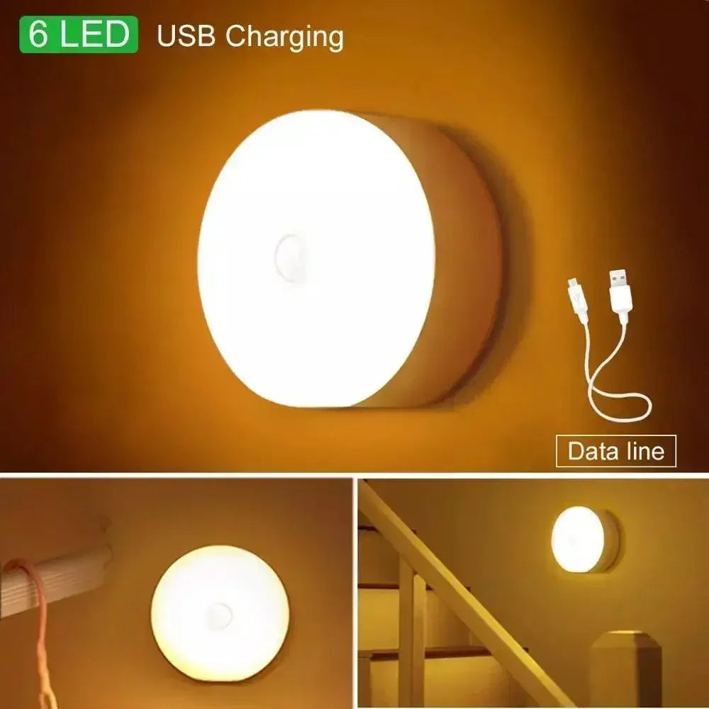 White Birch Branch Light LED Battery Operated For Festives