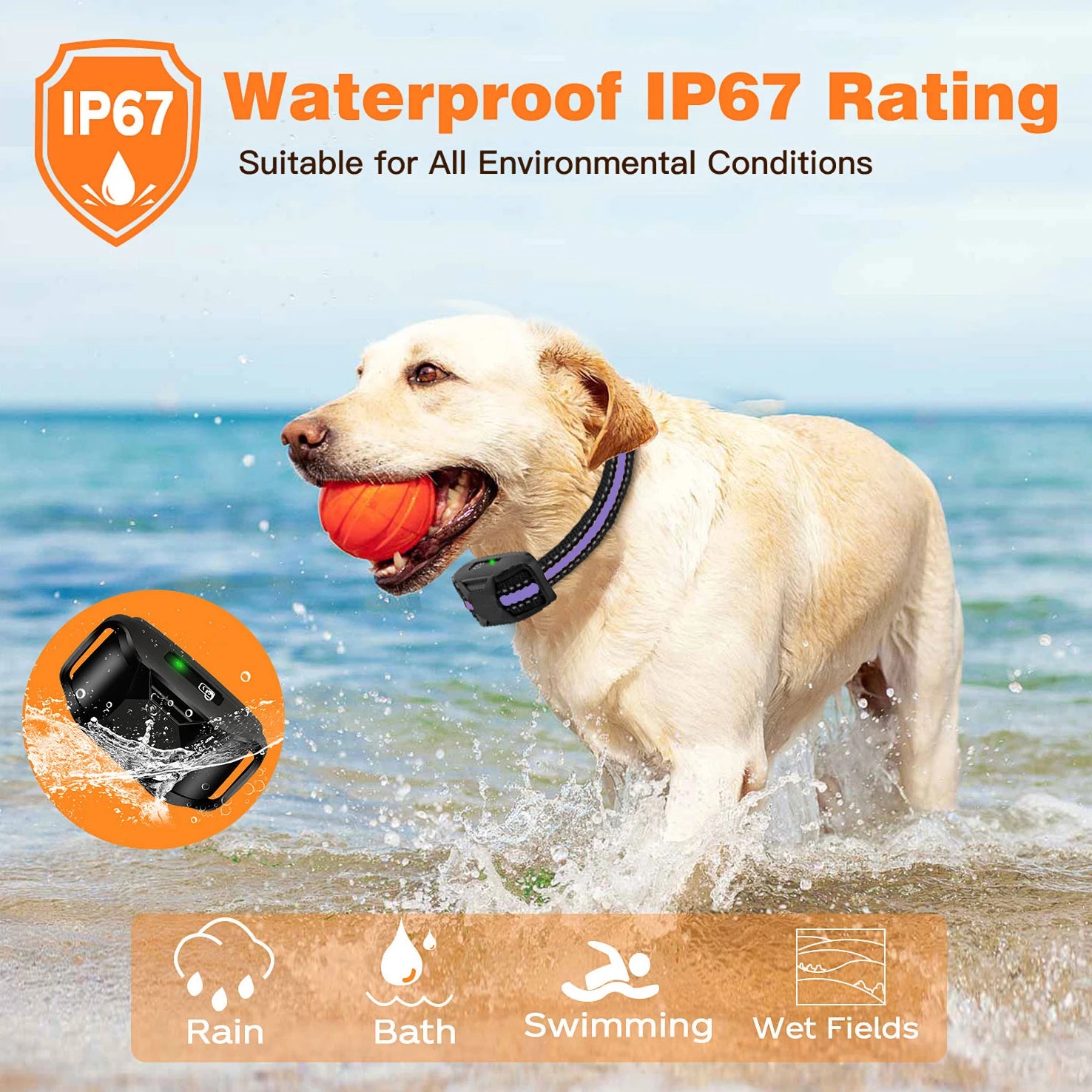 Electric Dog Training Collar Remote Control