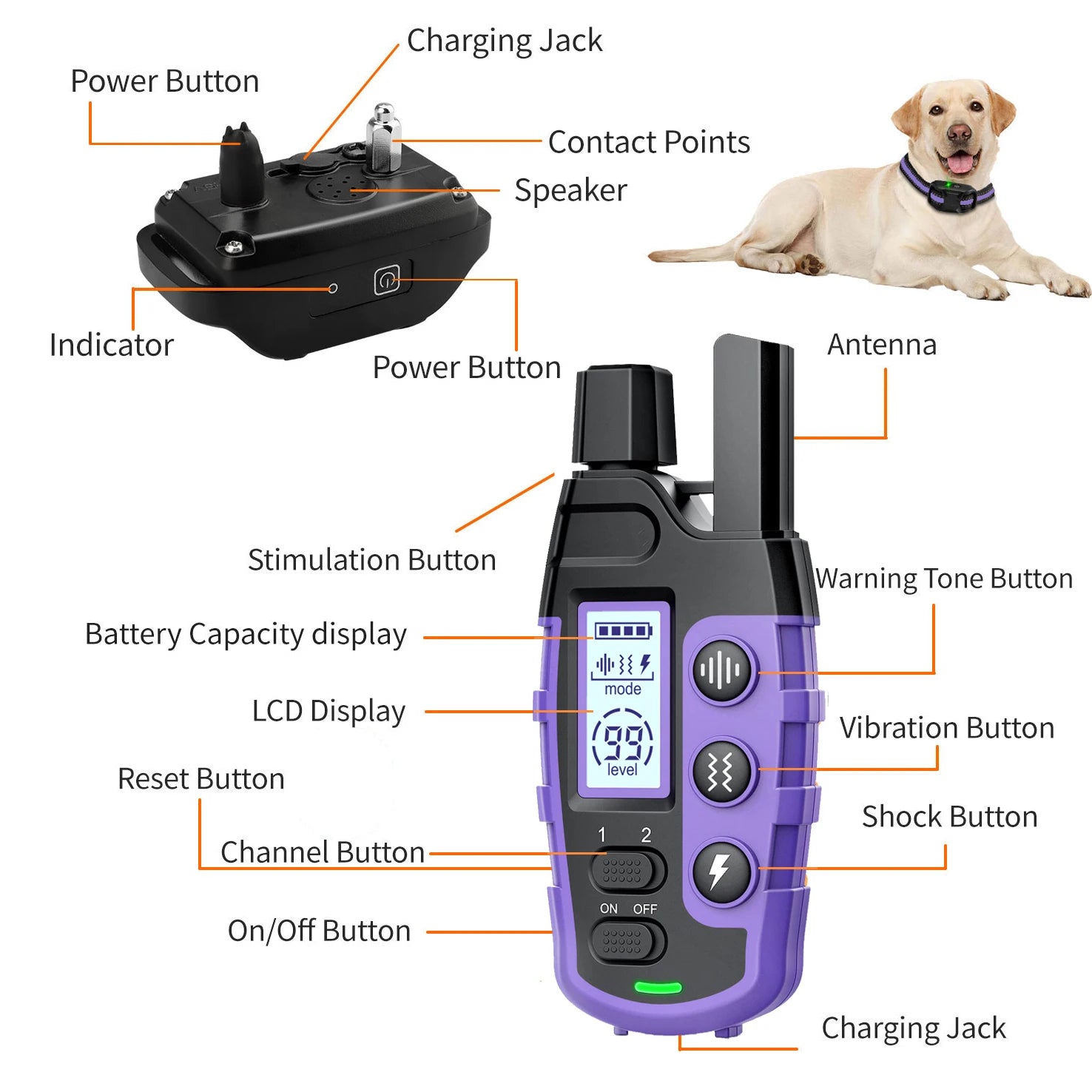 Electric Dog Training Collar Remote Control